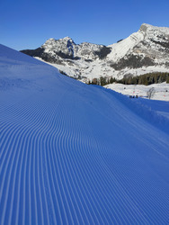 Maintenant c'est sur les pistes..