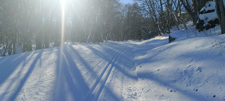 Très bonnes conditions pour le ski de fond