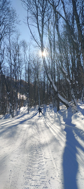 Très bonnes conditions pour le ski de fond