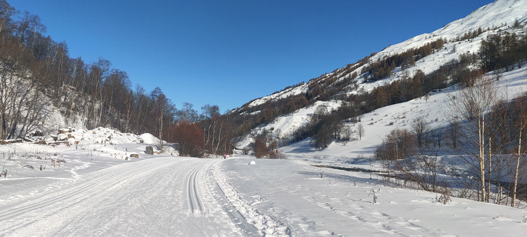 Très bonnes conditions pour le ski de fond