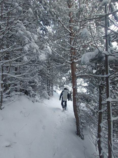 Semaine de Noël 🎄 mitigée dans les Pyrénées entre ❄️, ☔️ et 🧊