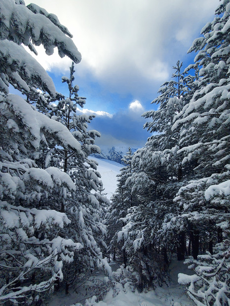 Semaine de Noël 🎄 mitigée dans les Pyrénées entre ❄️, ☔️ et 🧊