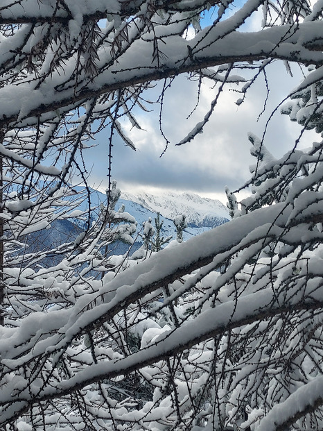 Semaine de Noël 🎄 mitigée dans les Pyrénées entre ❄️, ☔️ et 🧊