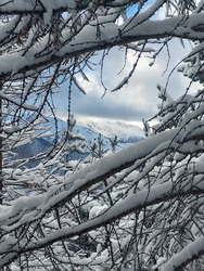 Semaine de Noël 🎄 mitigée dans les Pyrénées entre ❄️, ☔️ et 🧊