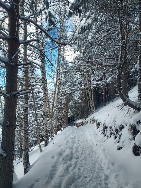 Semaine de Noël 🎄 mitigée dans les Pyrénées entre ❄️, ☔️ et 🧊