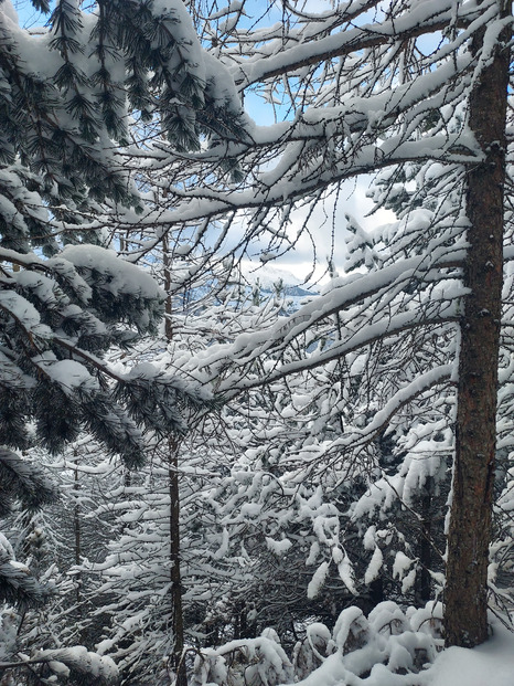 Semaine de Noël 🎄 mitigée dans les Pyrénées entre ❄️, ☔️ et 🧊