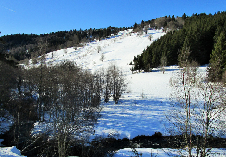 Massif du Forez en SRN