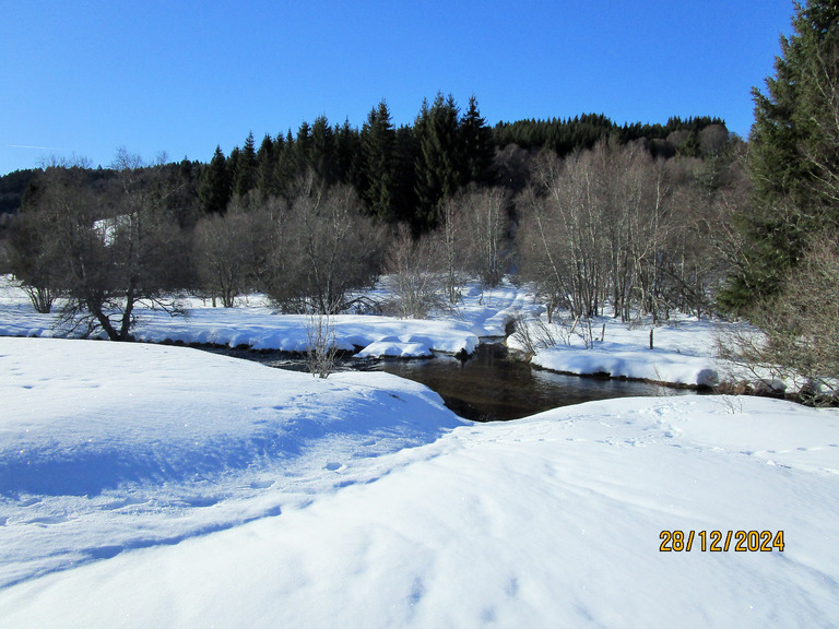 Massif du Forez en SRN