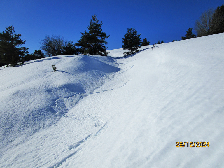 Massif du Forez en SRN