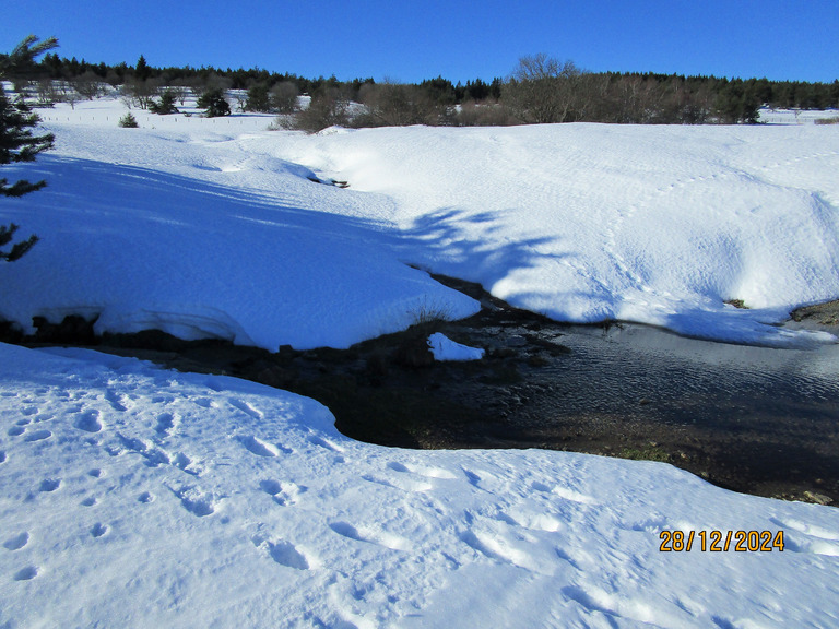 Massif du Forez en SRN