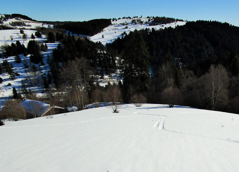 Massif du Forez en SRN