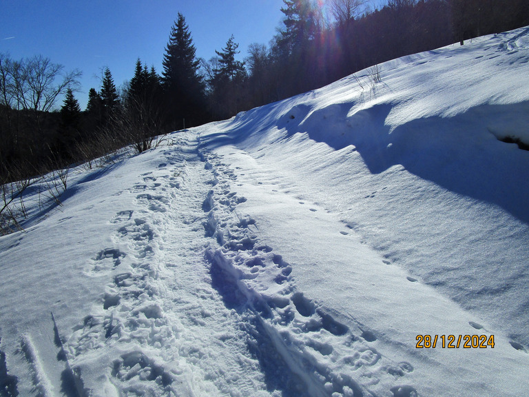 Massif du Forez en SRN