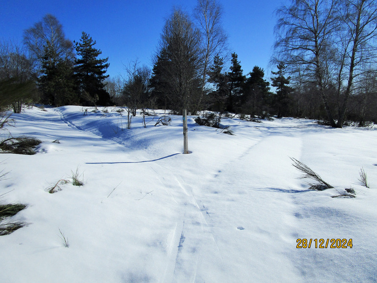 Massif du Forez en SRN