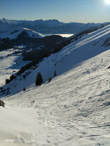 Haute pointe pour sortir de la grisaille 