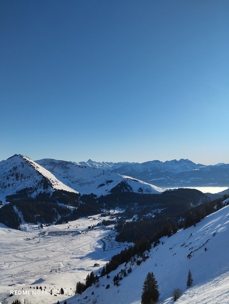 Haute pointe pour sortir de la grisaille 