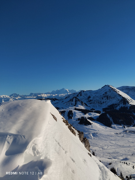 Haute pointe pour sortir de la grisaille 