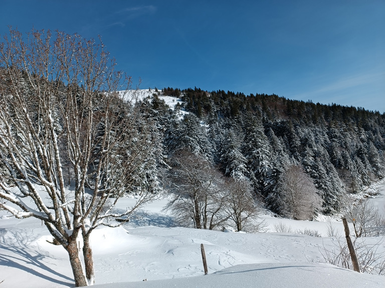 Randonné au tanet jusqu'au lac des truites