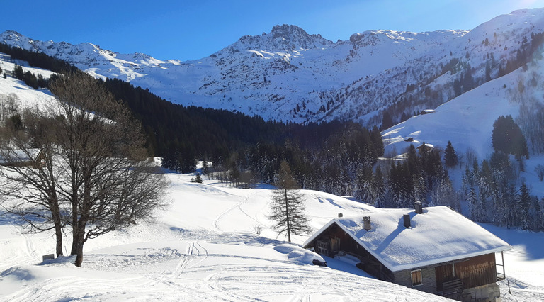 Toujours dans la tempête de ciel bleu