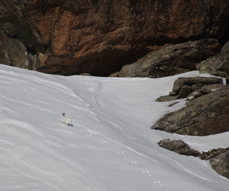 Petite poudre dans le Vallon