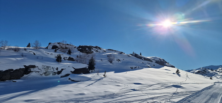 Neige de Noël inattendue ☀️❄️