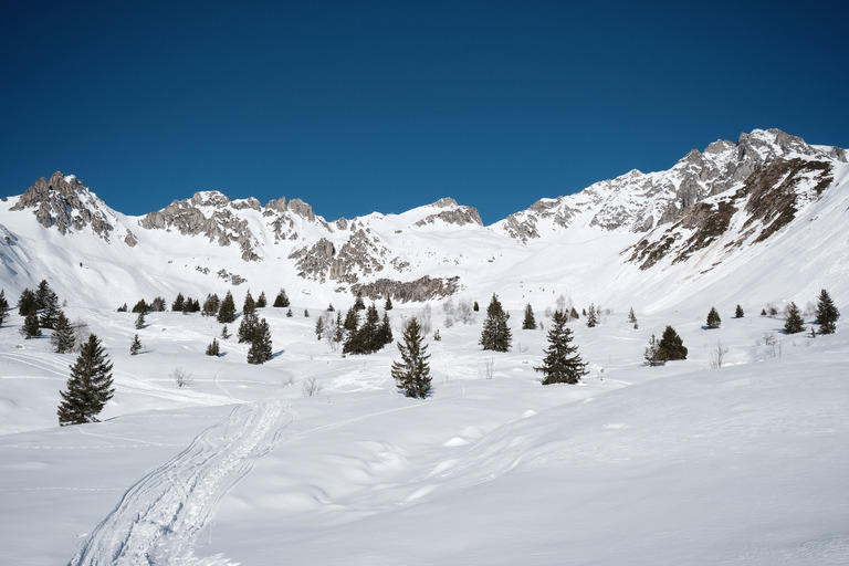 Col de Sarvatan, entre poudre et moquette 🤩