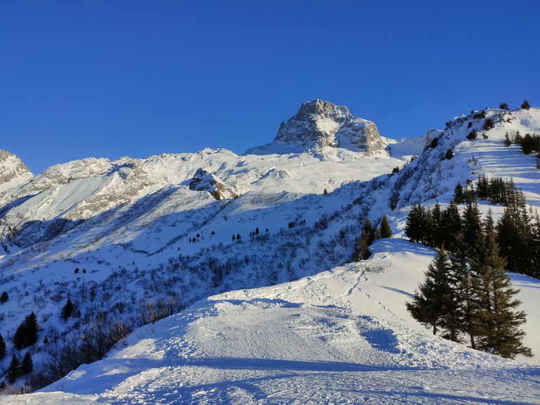 Tôt le matin ou tard le soir