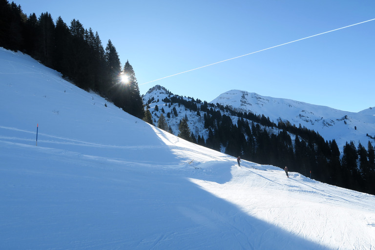 Le Diemtigtal est une vallée agricole.