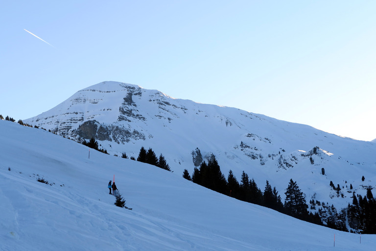 Le Diemtigtal est une vallée agricole.