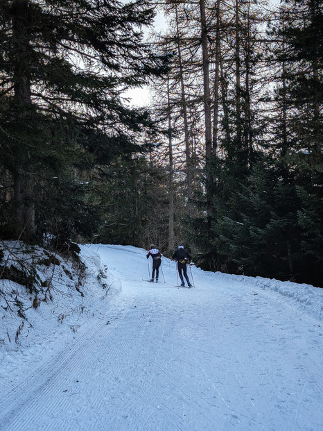 Très bonnes conditions en skis de fond (enfin pas la mienne)