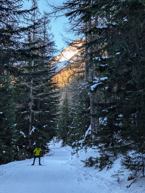 Très bonnes conditions en skis de fond (enfin pas la mienne)