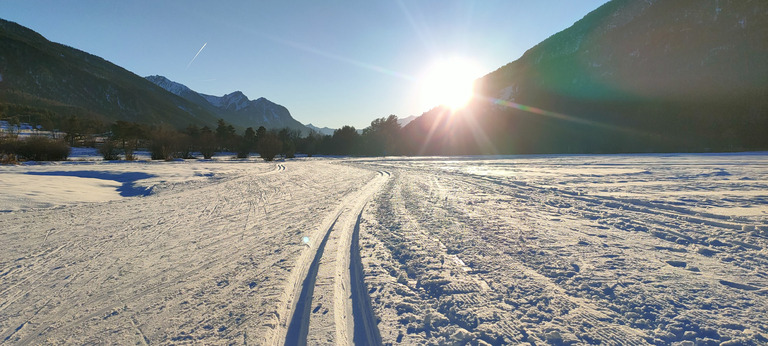 Hockey sur ski de fond aux Alberts