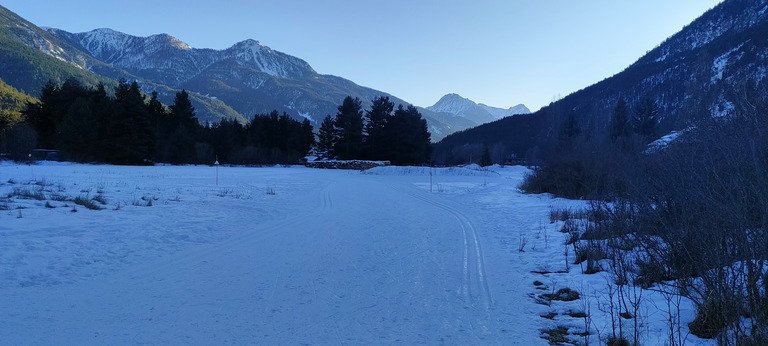 Hockey sur ski de fond aux Alberts