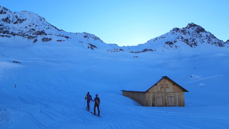 Du monde en freerando