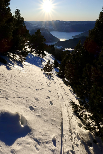 Derniers rayons de soleil pour ce Chamechaude de fin d’année. 