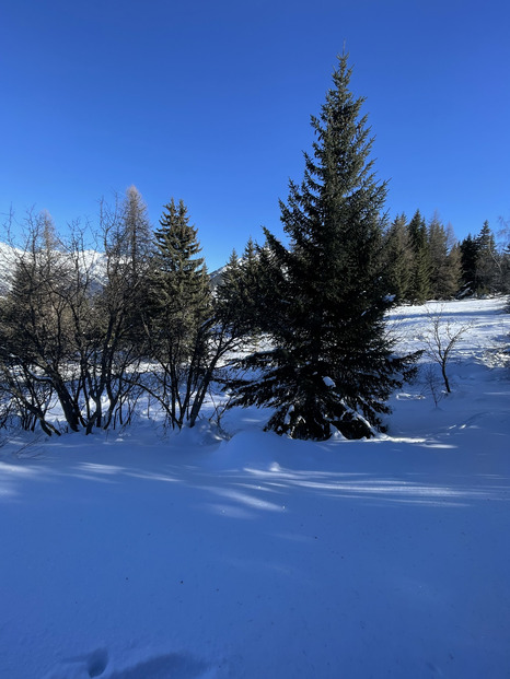 Soleil et vacanciers 