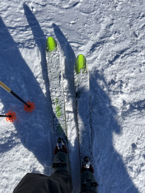 Première de l’année sous le soleil