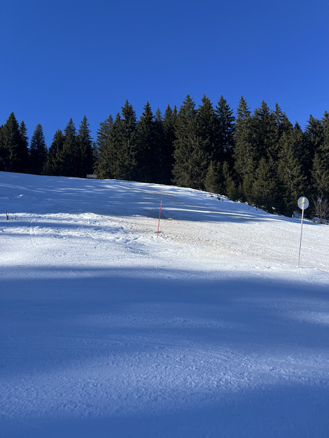 Première de l’année sous le soleil