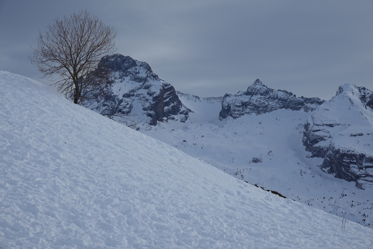 Plus calme, neige douce