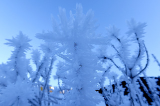 Mes v&oelig;ux au Marquis depuis les Lances de Malissard