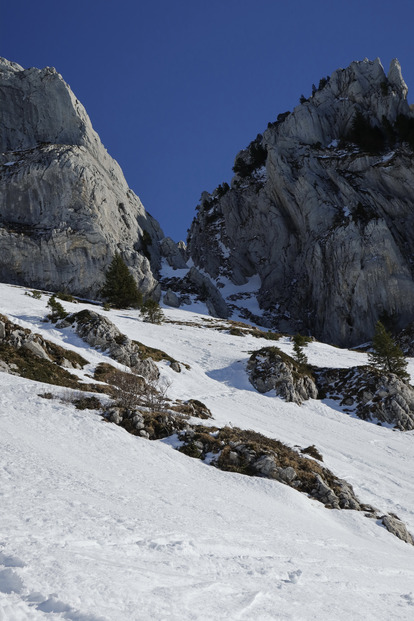 Mes vœux au Marquis depuis les Lances de Malissard