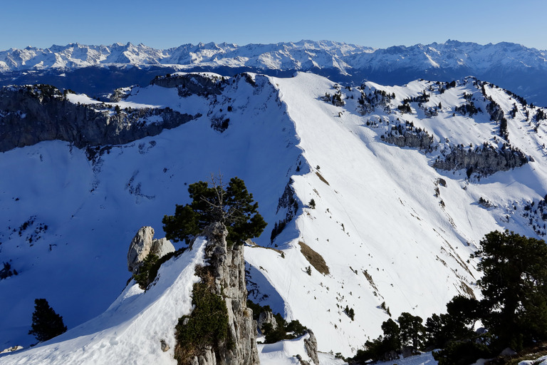 Mes vœux au Marquis depuis les Lances de Malissard