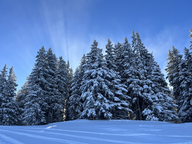 Saint Gervais, la force du frais! 