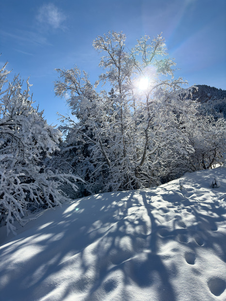 Maison -> Moucherotte, 2 heures,  douche comprise