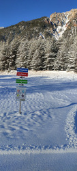 Skating sur du velours au Rosier
