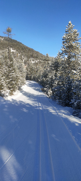 Skating sur du velours au Rosier