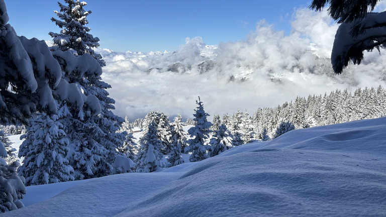 Quelle journée ☃️