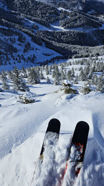 Une journée à ne pas rater 