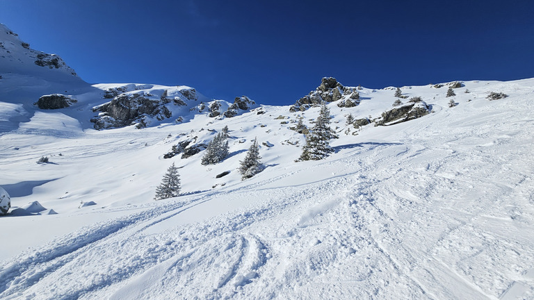 Une journée à ne pas rater 