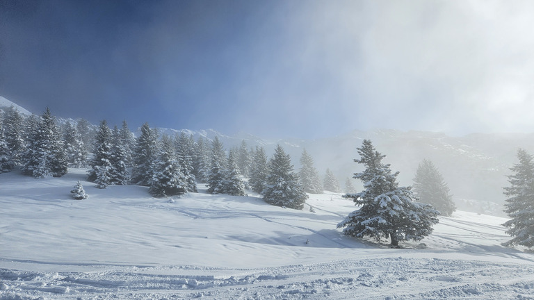 Une journée à ne pas rater 