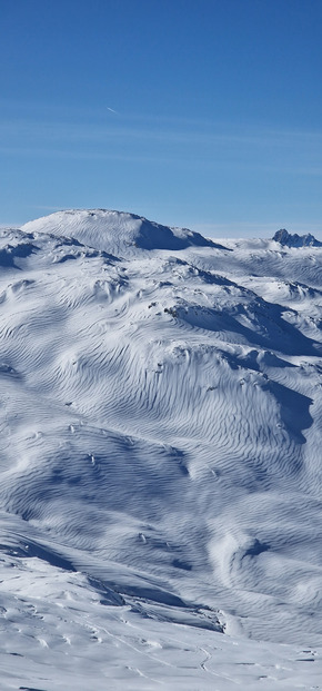 Pas le temps de s'arrêter 🌤☀️❄️❄️❄️🤤